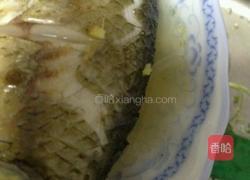 清蒸鳊鱼的做法图解5
