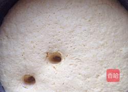 奶香玉米馒头的做法图解8