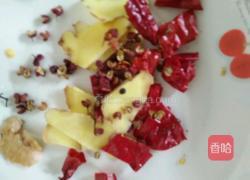 素炒苕尖的做法图解3