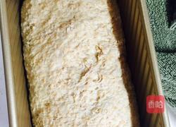 全麦面包的做法图解7
