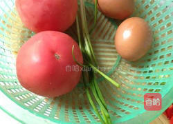 西红柿蛋汤的做法图解1