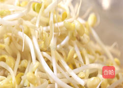 黄豆芽炒粉条的做法