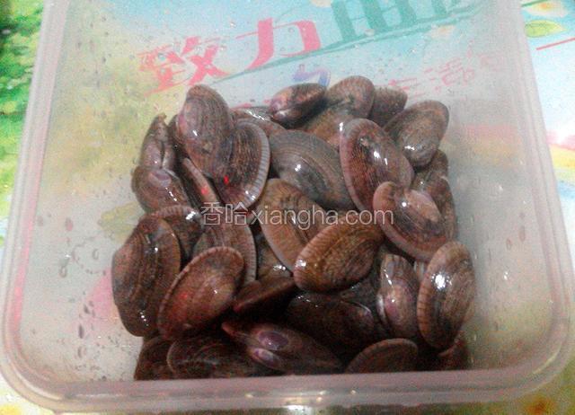 2小时后,用盐、生粉把花蛤搓洗干净.