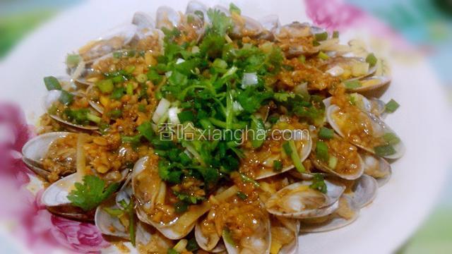 把煎好的蒜头油浇在花蛤上,再一次洒上葱花、香菜,完成了.看成品图.
