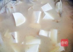 野生鲫鱼煨豆腐的做法图解5