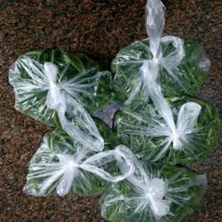 冷藏豆角的做法[图]