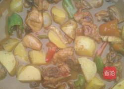 自创家庭版大盘鸡的做法图解8