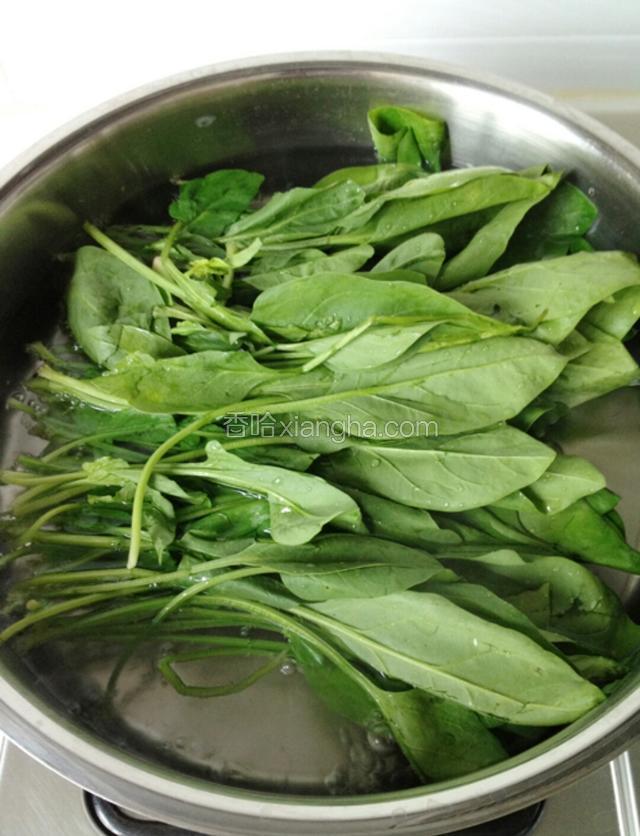 菠菜去根，洗净焯水备用