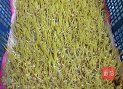 麦芽糖的做法图解4