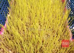 麦芽糖的做法图解5