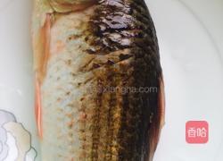 野生鲫鱼冬瓜汤的做法图解1