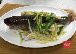 清蒸鳟鱼的做法图解3