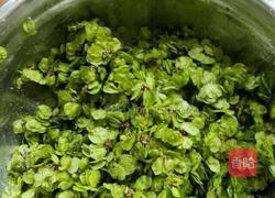 榆钱窝头的做法图解1