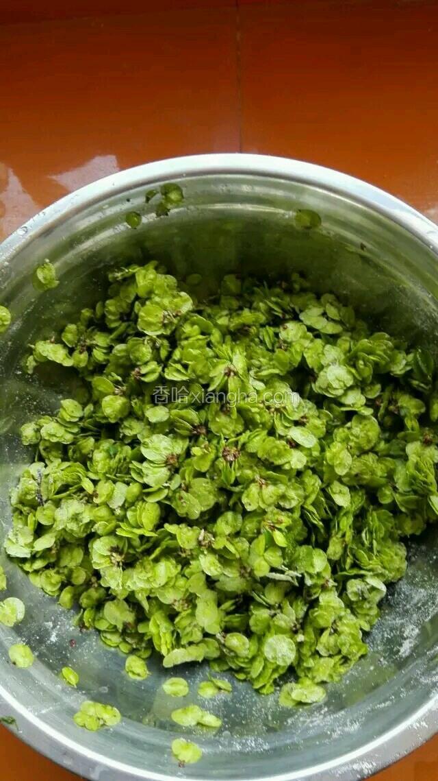 榆钱洗净控水。