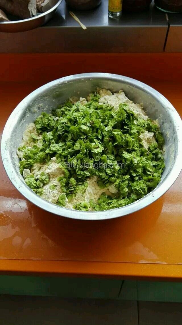 玉米面，豆面，面粉按3:1:1的比例混合加入食盐和榆钱。
