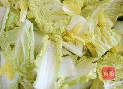 娃娃菜炖粉条的做法图解7