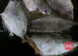 煎鱼的做法图解2