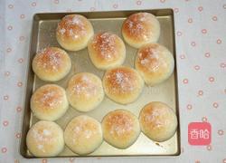 椰蓉小餐包的做法图解6