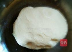 河南葱油大饼的做法图解1