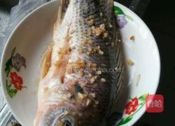 江鱼清蒸的做法图解5