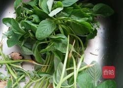 炒寒菜的做法图解1