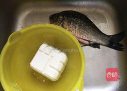 鲫鱼豆腐汤的做法图解1