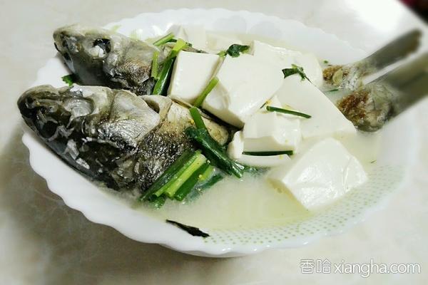 白豆腐鯽魚湯