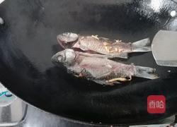 白豆腐鲫鱼汤的做法图解6