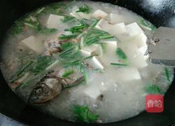 白豆腐鲫鱼汤的做法图解10