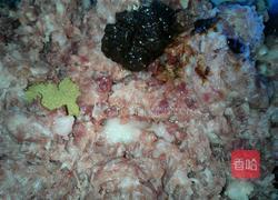 干炸丸子的做法图解5