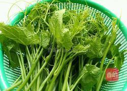 炝炒丝瓜尖的做法图解2