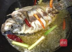 红烧水煮福寿鱼的做法图解7