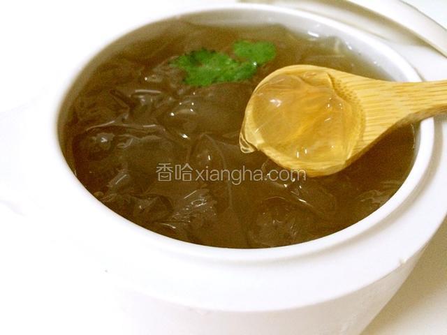 蜜汁海石花