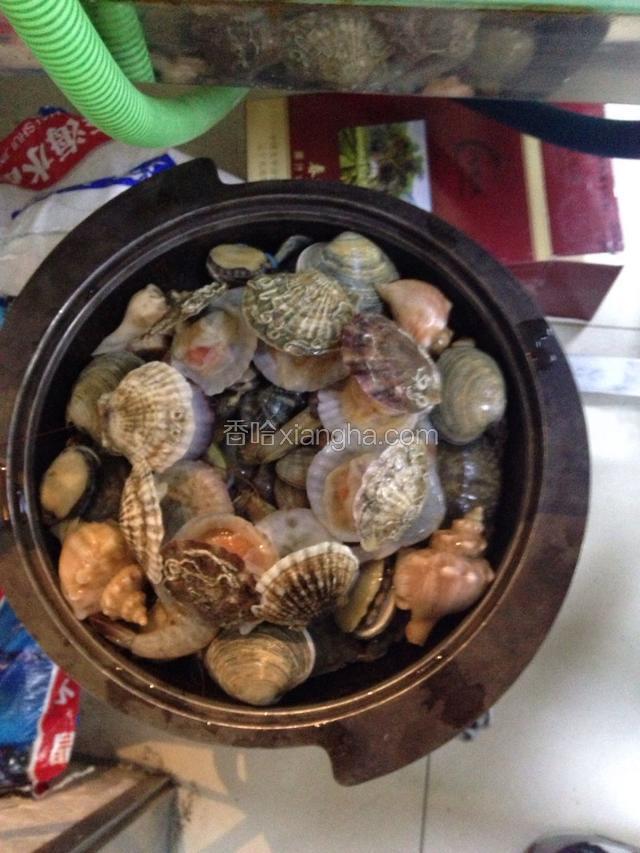 把海鲜放入锅中