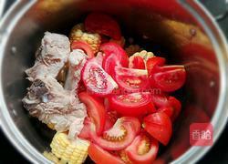 蕃茄玉米排骨汤的做法图解4
