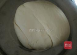 香菇肉馅包的做法图解4