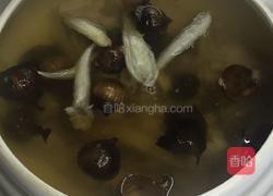 花胶黑蒜炖排骨的做法图解5