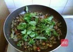 九层塔炒薄壳的做法图解8