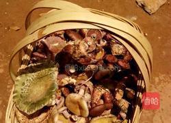 干野生菌的做法图解1