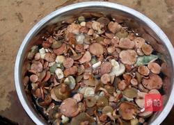 干野生菌的做法图解2