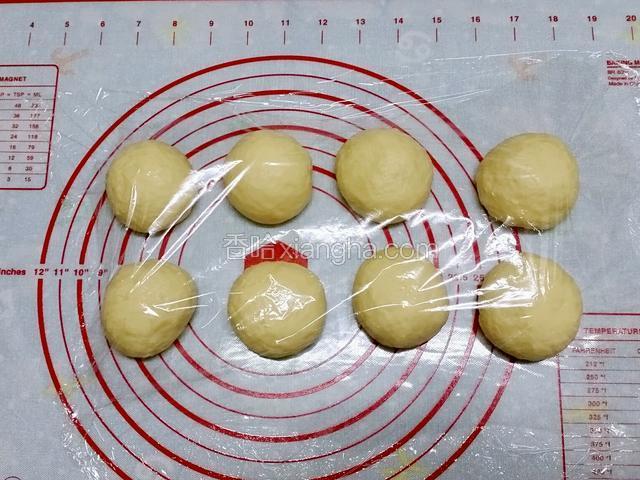將麵團排氣，並分成8等份，蓋上保鮮膜鬆弛20分鐘