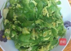 鸡蛋炒苦瓜的做法图解8