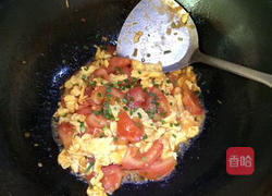 西红柿炒鸡蛋的做法图解11