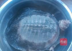 甲鱼汤的做法图解1