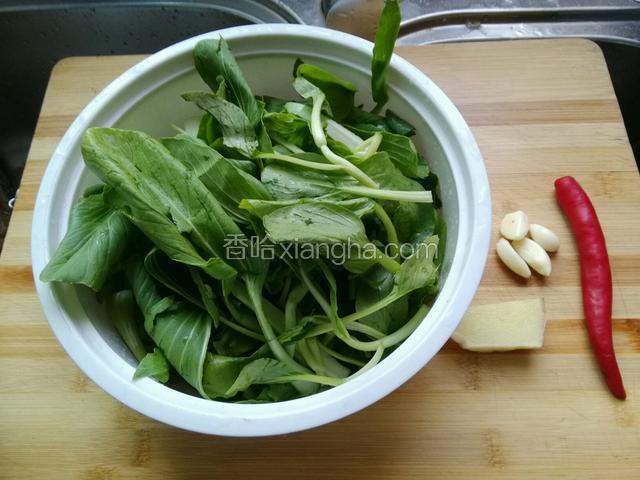 调料，把小青菜清洗干净