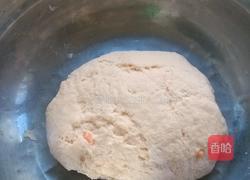 牛肉胡萝卜馅、猪肉香菇馅饺子的做法图解4