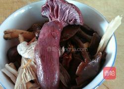 东北蘑菇猪肉酱的做法图解2
