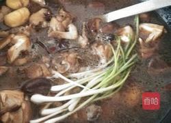 香菇板栗炖鸡的做法图解6