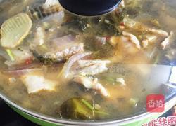 酸菜鱼的做法图解4
