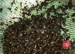 蒜蓉辣椒豆豉酱的做法图解2